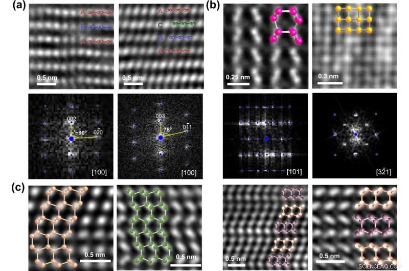 Accelerating Materials Discovery: Machine Learning Unlocks Carbon s Metastable States