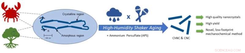 Sustainable Nanocrystal Synthesis: Cleaner, Cost-Effective Method Using Cellulose and Chitin from Renewable Resources