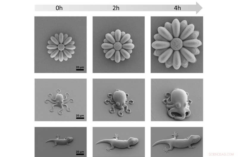 3D-Printed Microscopic Octopuses: Smart Polymers Enable Dynamic Growth and Hardening