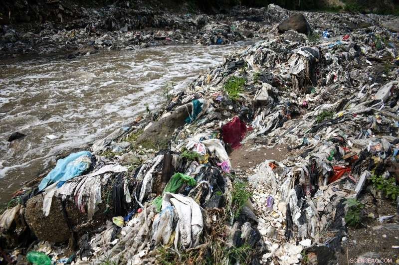 Wax Worm Saliva Enzymes Degrade Common Plastic Waste, Offering Innovative Pollution Solutions