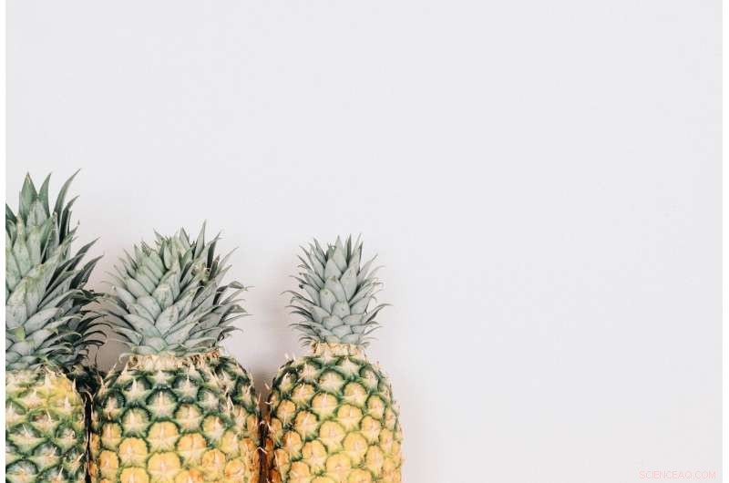 Innovative Recycling Method Converts Pineapple Leaf Waste into Sustainable 3D Printing Filaments