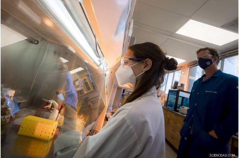 Breakthrough: How Marine Bacterium Produces Salinosporamide A, a Promising Anticancer Drug in Phase III Trials