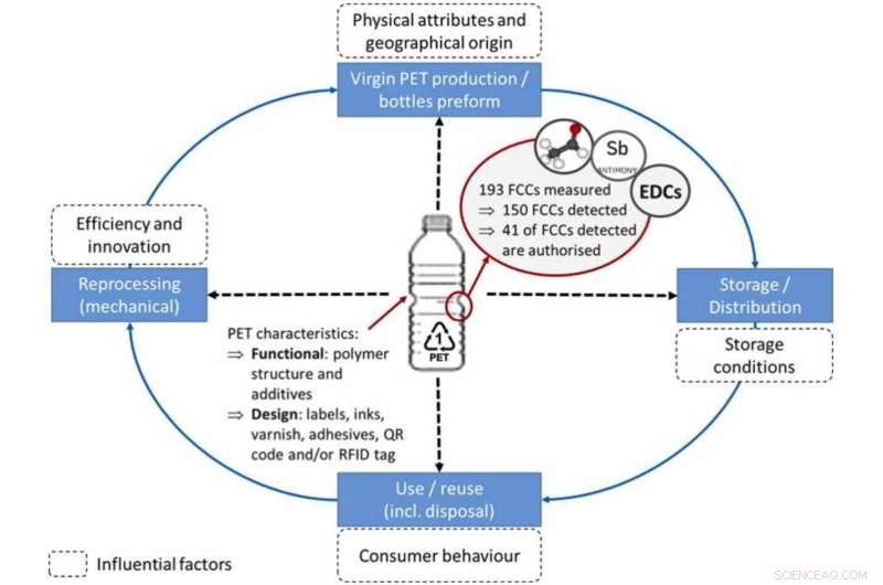 New Study Urges Improved Recycling to Prevent Harmful Chemical Leaching in Bottled Drinks