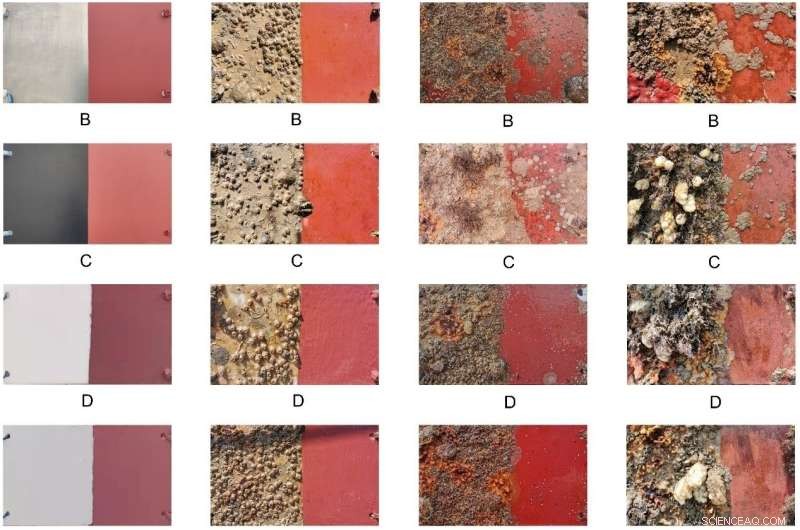 Natural Antifouling Paint Performance in Seawater: A Comprehensive Analysis
