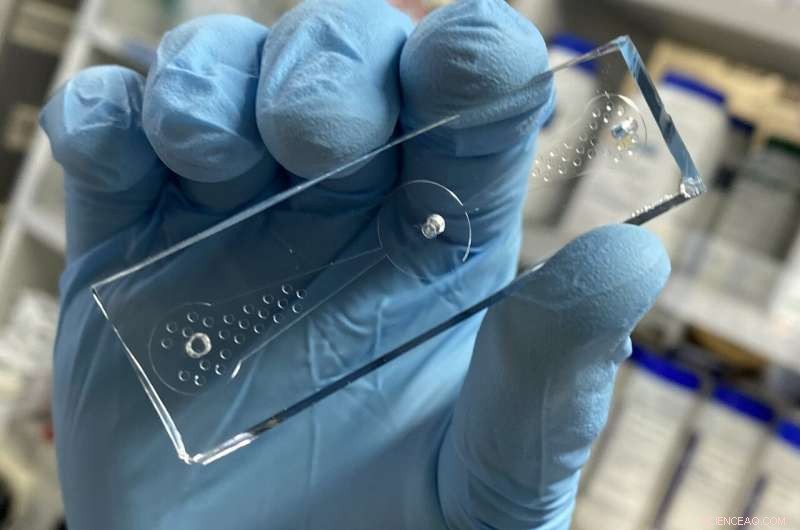 Worm-on-a-Chip Device Detects Lung Cancer Odors in Novel Diagnostic Approach