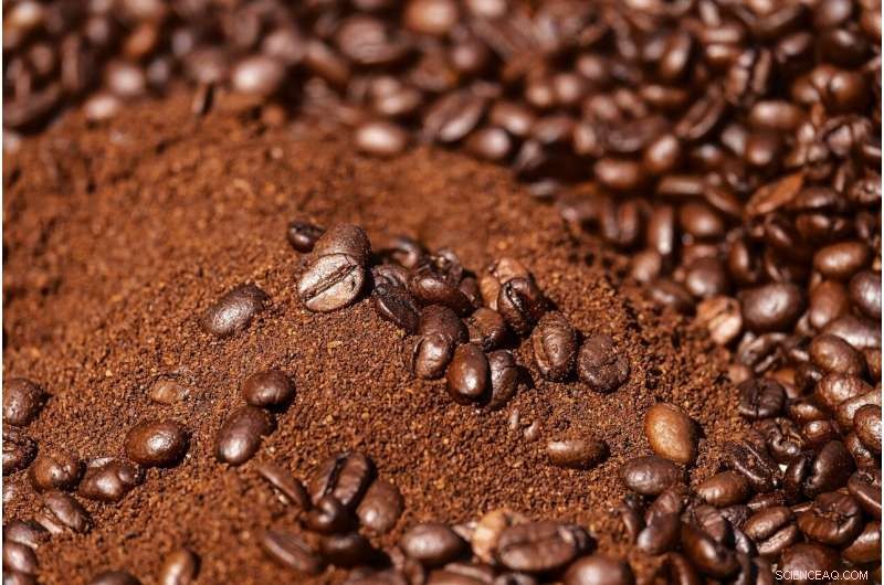 Eco-Friendly Electrodes from Coffee Waste Revolutionize Brain Wave Detection