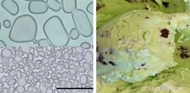 New Research: Plant-Based Cellulose Nanocrystals Prevent Crunchy Texture in Ice Cream