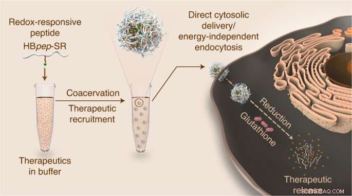 NTU Singapore s Novel Trojan Horse Drug Delivery System with Protein Microdroplets