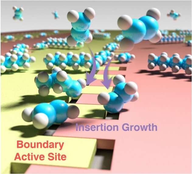 Novel Imaging Technique Enables Direct Observation of Polyethylene Polymerization