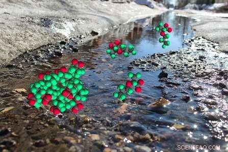 GenX Toxicity in Water: Study Reveals Key Differences from PFAS Chemicals