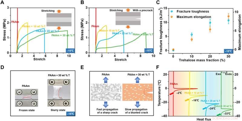 A Versatile Hydrogel Network Repair Strategy Leveraging Trehalose and Covalent-Like Hydrogen Bonding