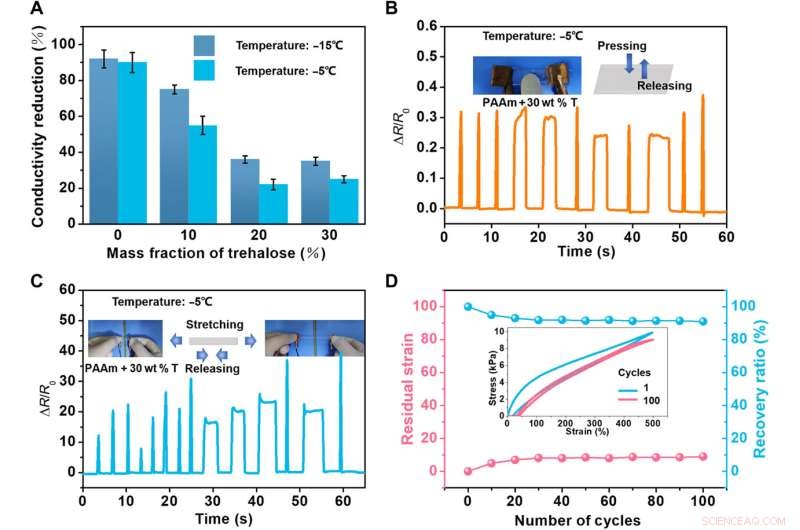 A Versatile Hydrogel Network Repair Strategy Leveraging Trehalose and Covalent-Like Hydrogen Bonding