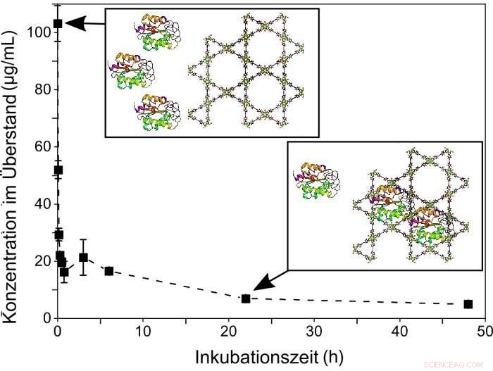 KIT Scientists Successfully Demonstrate Advanced Enzyme-MOF Flow Reactor
