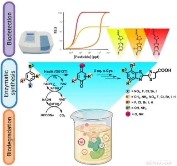Firefly-Inspired Luminescence Reaction for Sensitive and Low-Cost Detection of Organophosphate Pesticides