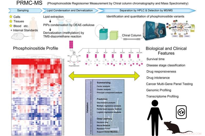 Advanced Mass Spectrometry for Deep Phosphoinositide Profiling and Medical Insights