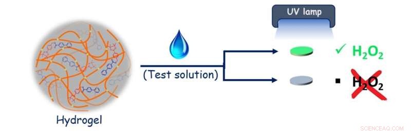 IISc s Innovative Paper Discs for Sensitive Hydrogen Peroxide Detection