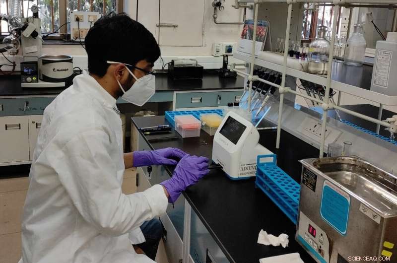 IISc s Innovative Paper Discs for Sensitive Hydrogen Peroxide Detection