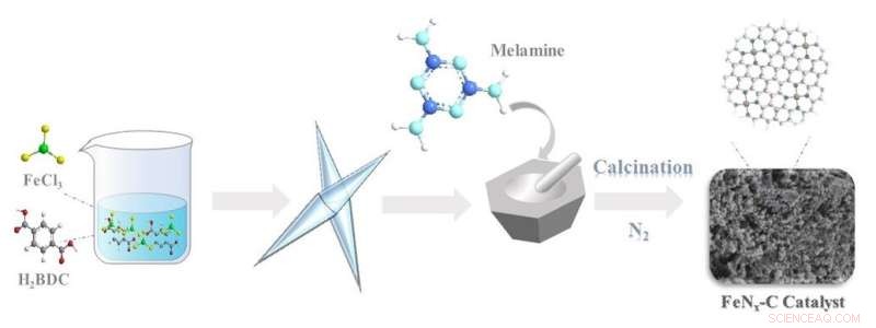 Mechanistic Insights: How Single-Atom Catalysts Degrade Organic Pollutants