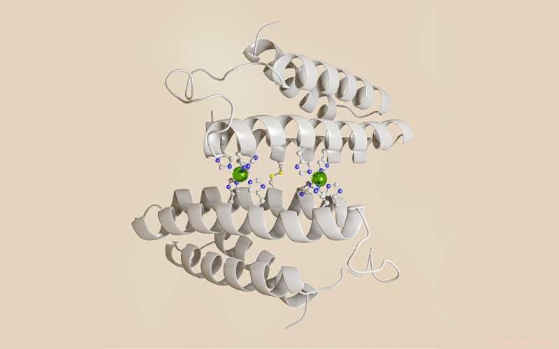 Researchers Engineer Flexible System to Circumvent Copper-Protein Binding