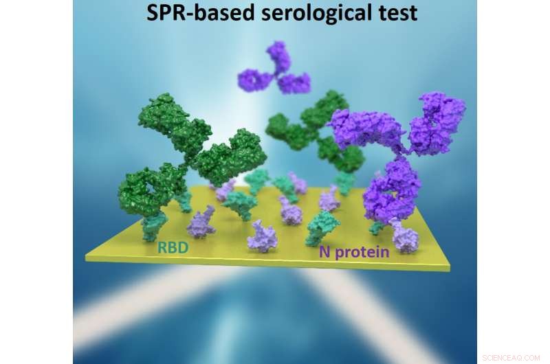 Advanced Optical Biosensor for Rapid, Quantitative COVID-19 Serology Testing