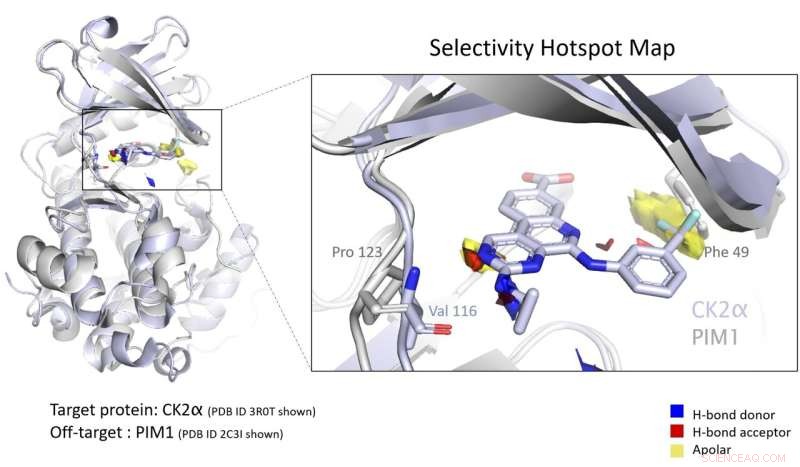 Hotspot Mapping: Accelerating Early Drug Design Through Empirical Analysis