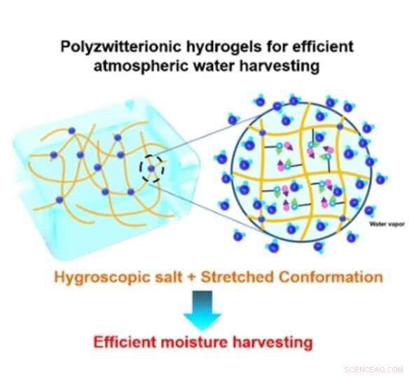Breakthrough: Hydrogel with Hygroscopic Salt Efficiently Harvests Freshwater from Dry Air