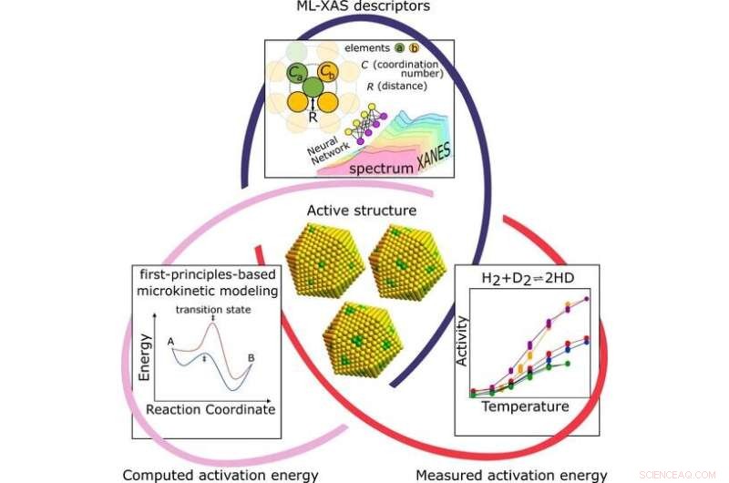 Machine Learning and X-ray Spectroscopy Revolutionize Catalyst Design by Pinpointing Active Sites