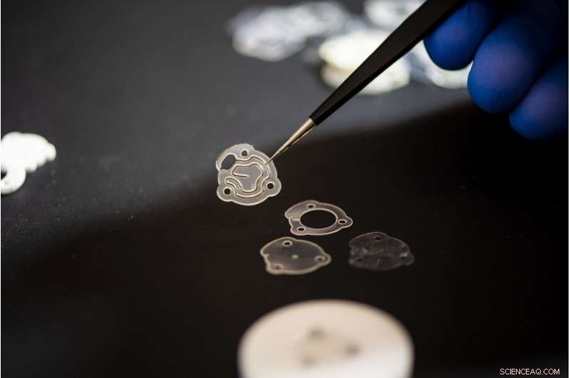 Squid-Inspired Wearable Device Revolutionizes Skin Cancer Prevention with UV Sensing Technology