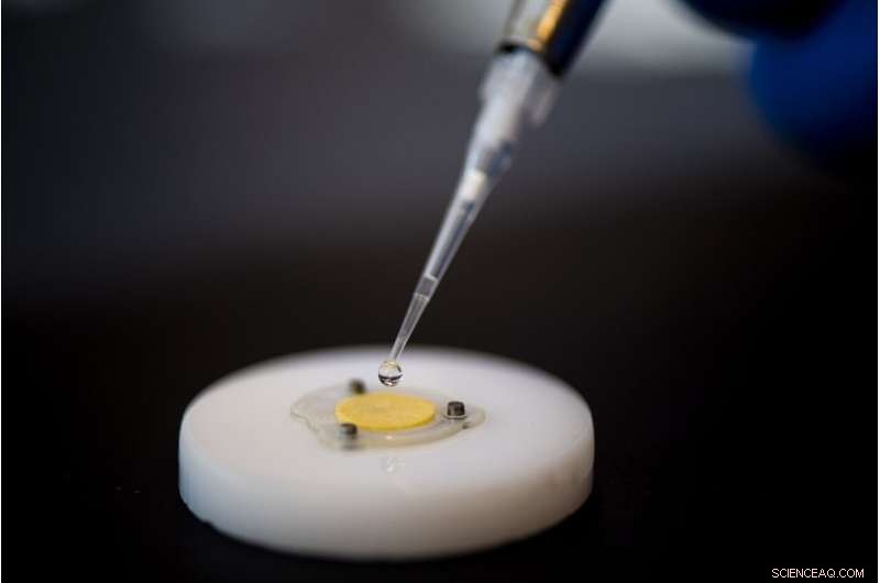 Squid-Inspired Wearable Device Revolutionizes Skin Cancer Prevention with UV Sensing Technology