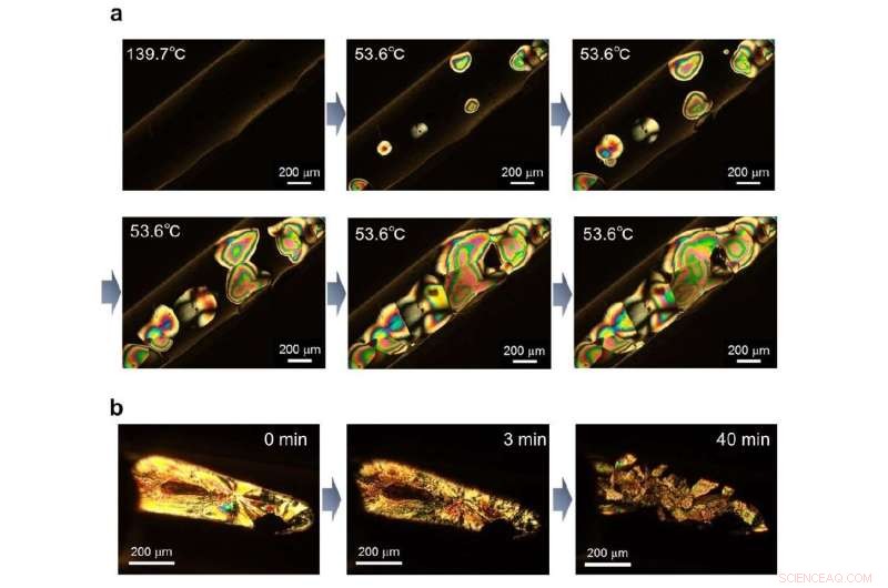 Inorganic Borophene Liquid Crystals: A Breakthrough Material for Optoelectronic Devices