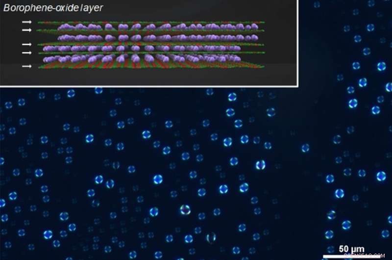 Inorganic Borophene Liquid Crystals: A Breakthrough Material for Optoelectronic Devices