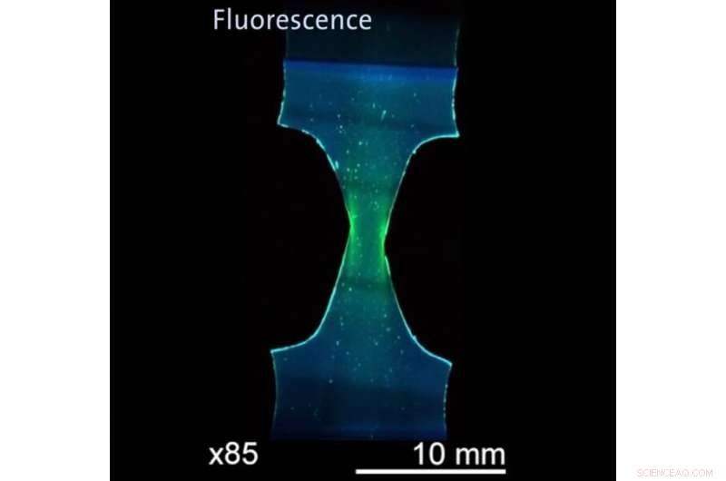 Innovative Color-Changing Sensors for Early Stress Detection in Polymer Films and Gels