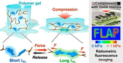 Innovative Color-Changing Sensors for Early Stress Detection in Polymer Films and Gels