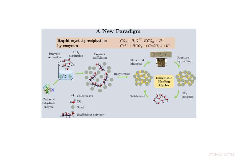 WPI s Revolutionary Negative-Emission Material Slashes Concrete Emissions and Upgrades Infrastructure