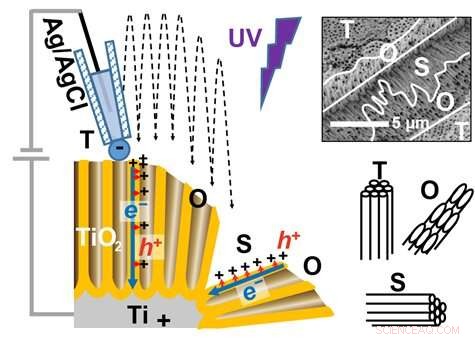 High-Resolution Charge Separation Imaging of TiO2 Photoelectrocatalytic Nanotubes Using SECCM