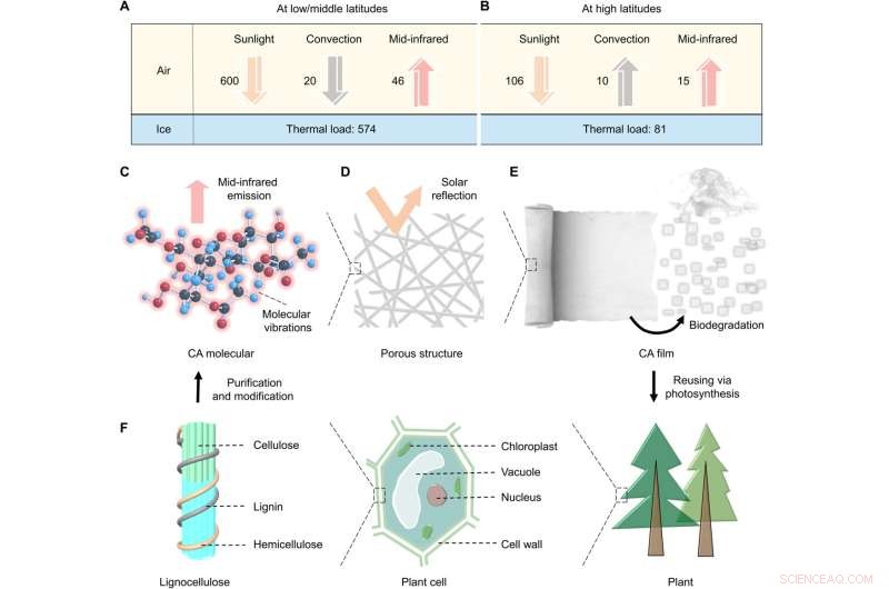 Radiative Cooling Innovation: Passive Ice Protection from Sunlight for Food Storage and Glacial Conservation