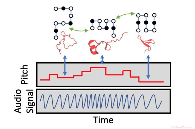 Sound-Based Insights: Musicians and Chemists Collaborate to Decode Protein Folding for Scientific Advancement