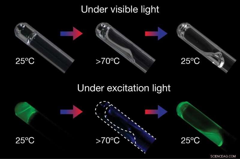 DNA-Engineered Polymer Gels: Predictable, Tunable Materials for Advanced Applications