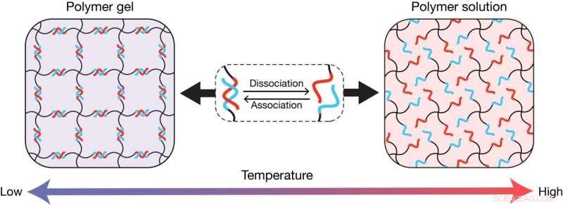 DNA-Engineered Polymer Gels: Predictable, Tunable Materials for Advanced Applications