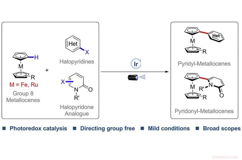 Photo-Induced Catalytic C-H Heteroarylation of Metallocenes: A Novel Functionalization Strategy