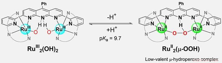 First Direct Observation of Proton-Dissociation-Induced Oxygen-Oxygen Bond Formation in Low-Valent Ruthenium Complex