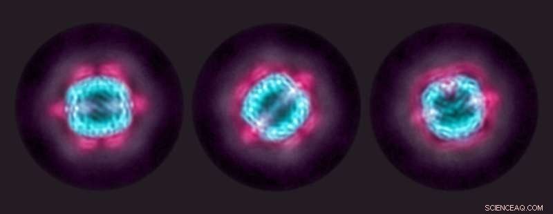 Revolutionary Molecular Cage Technique Unlocks Detailed Cryo-EM Structure of AML Protein KIX