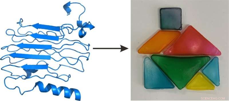 Protein Bioplastics Innovation: Strong, Elastic, and Biodegradable Solution to Plastic Waste