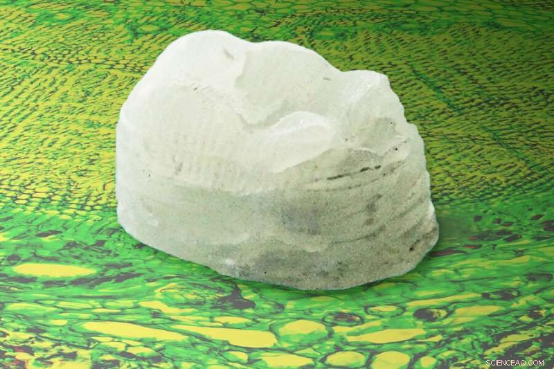 MIT s Ultra-Tough Plant Composite Rivals Bone and Aluminum Strength