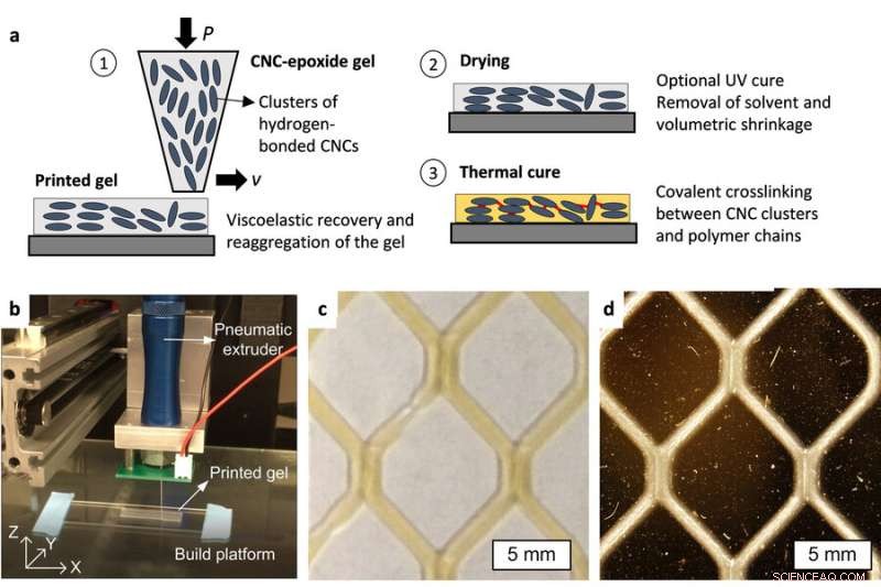 MIT s Ultra-Tough Plant Composite Rivals Bone and Aluminum Strength
