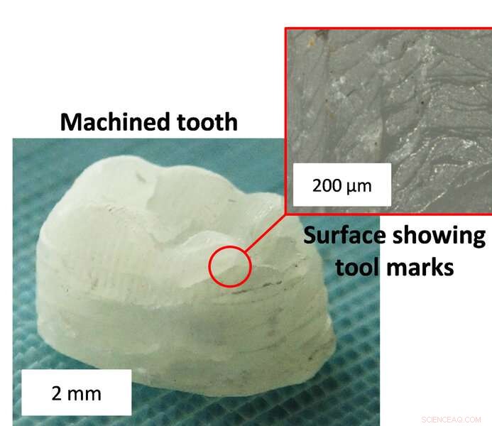MIT s Ultra-Tough Plant Composite Rivals Bone and Aluminum Strength