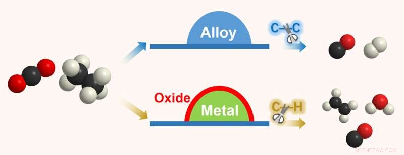 How Palladium Catalysts Control CO2 and Ethane Conversion Pathways