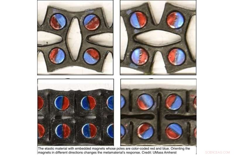 UMass Amherst Engineers Programmable Rubber-Like Material for High-Energy Absorption and Release