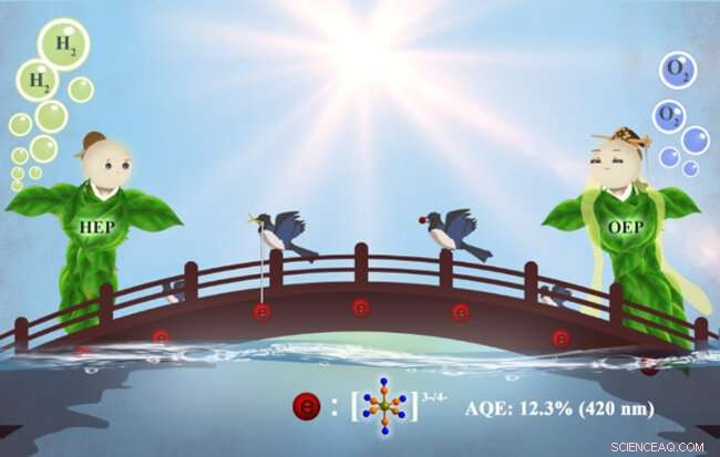 Selective Cocatalyst Deposition on BiVO4 Facets Enhances Wide-Visible-Light Solar Water Splitting