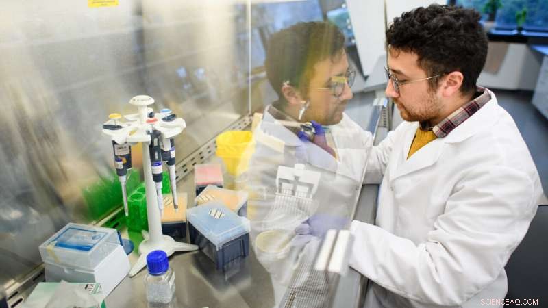 Breakthrough Yeast Sorting Method Accelerates Advanced Biofuel Development